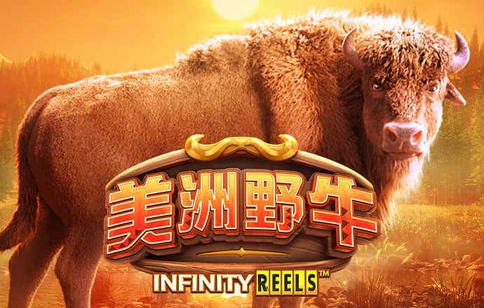 jn体育官网入口网页